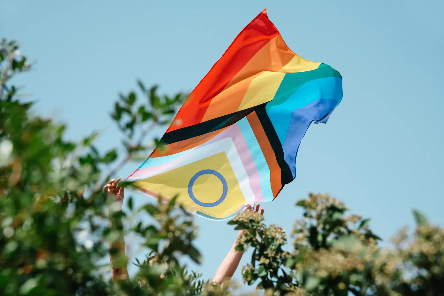 hands waving an LGBTQIA flag