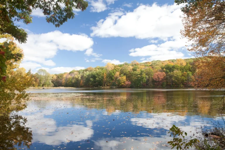 Rockefeller State Park Preserve