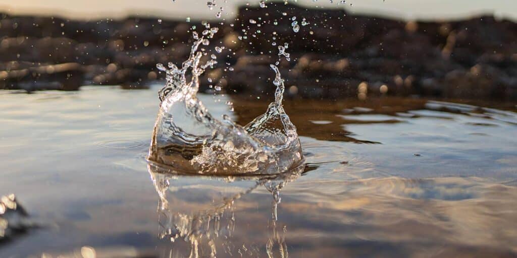 Drop-the-Rock-in-Recovery