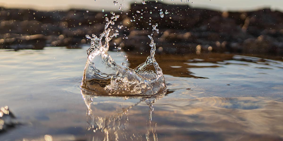 Drop-the-Rock-in-Recovery