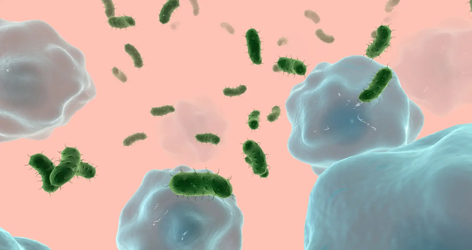 Bacterial infection from drug use.